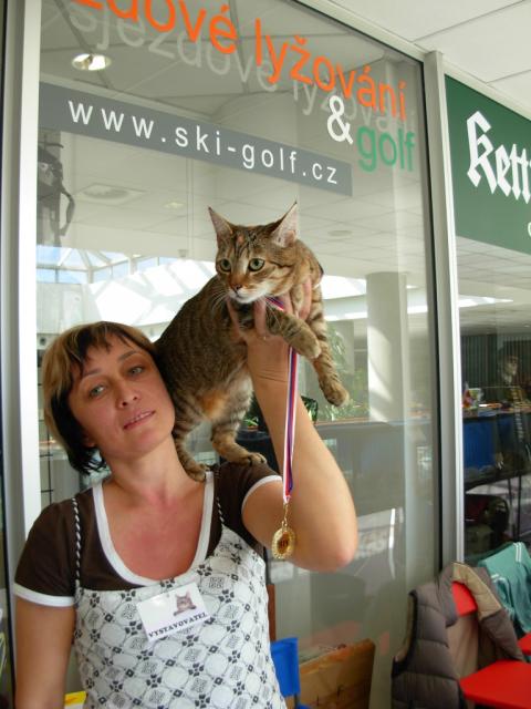 Mezinárodní výstava koček Brno 13.9.2008