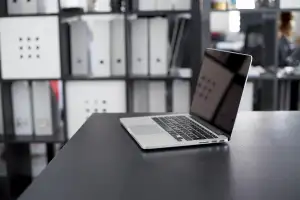 Nejlepší Krmivo Pro Kočky